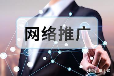 信息技术咨询领域B2B网络推广实力服务商精选与深度评析