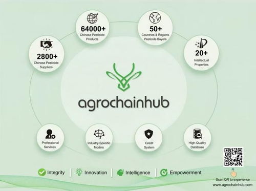 AI赋能企业数字化转型 2025年IT技术咨询涌现新趋势