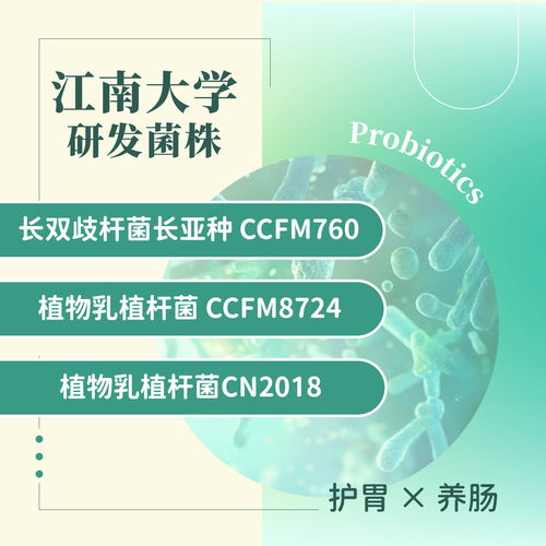 2026年甄选优质益生菌粉源头厂家的关键维度与代表企业